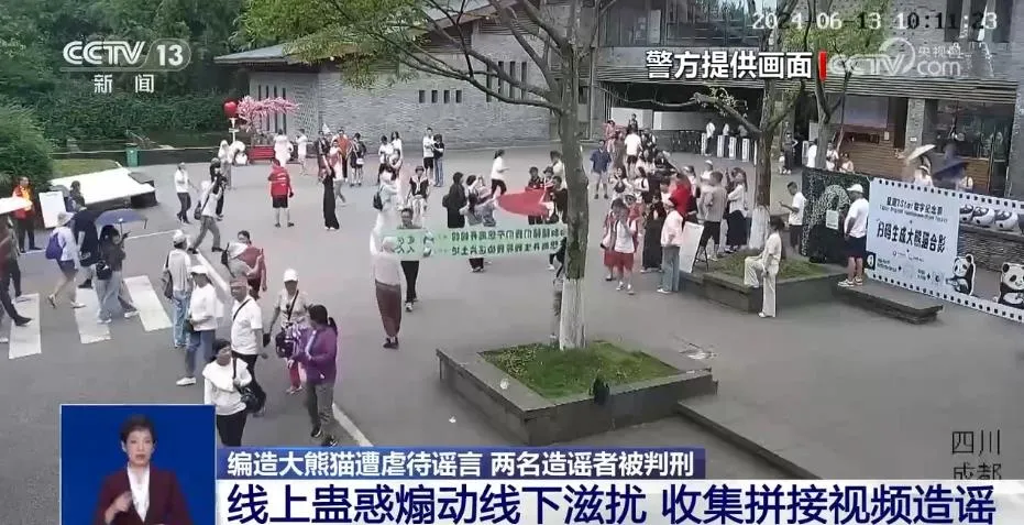 编造“大熊猫遭虐待”博流量 非法获利近20万 两人被判刑