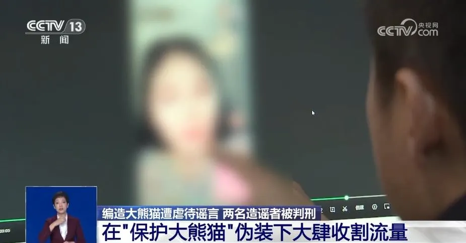 编造“大熊猫遭虐待”博流量 非法获利近20万 两人被判刑