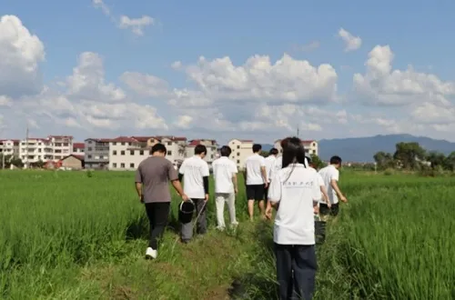 带着“土气”融入基层，接着“地气”助力乡村振兴