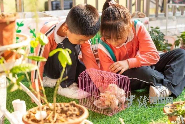 “学在西区”:教育强基三年行动,绘就优质均衡新画卷 “学在西区”:教育强基三年行动,绘就优质均衡新画卷