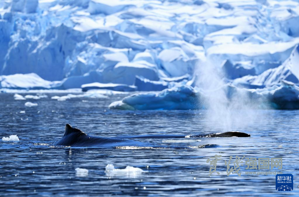 南极洲盛夏掠影 南极洲盛夏掠影