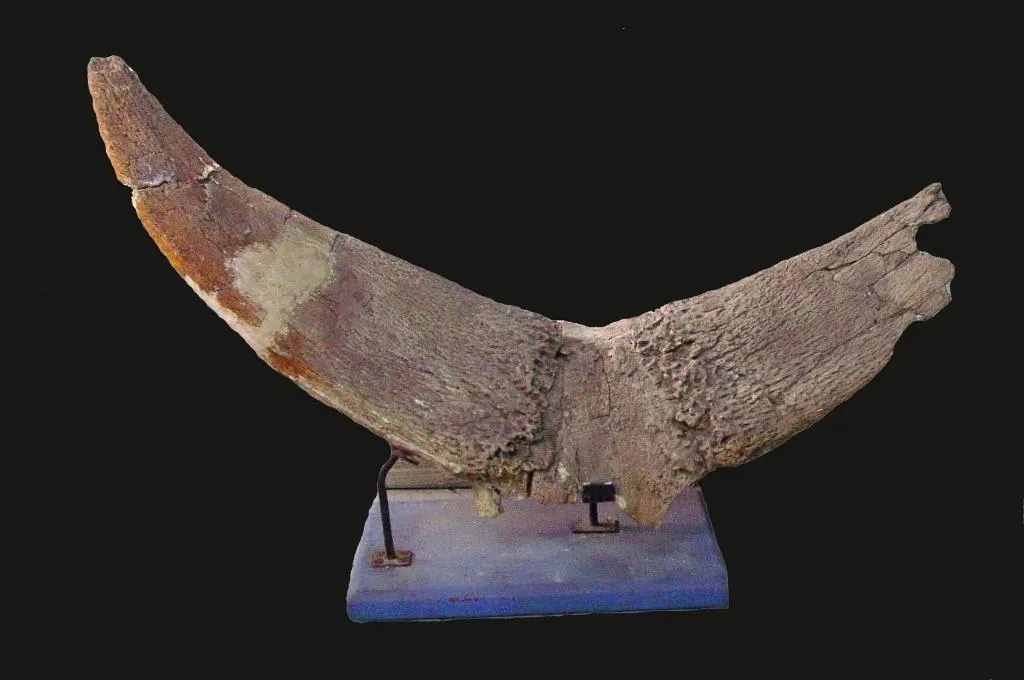 萨拉乌苏遗址百年薪火再添新证 萨拉乌苏遗址百年薪火再添新证