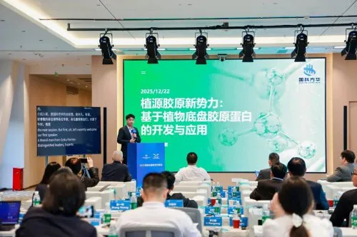 2025海南东盟技术对接会在海口举办